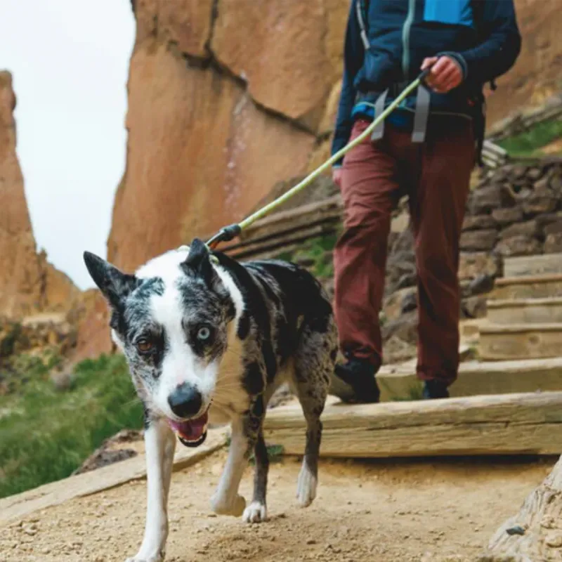 ⚡ Ruffwear Knot-A-Leash