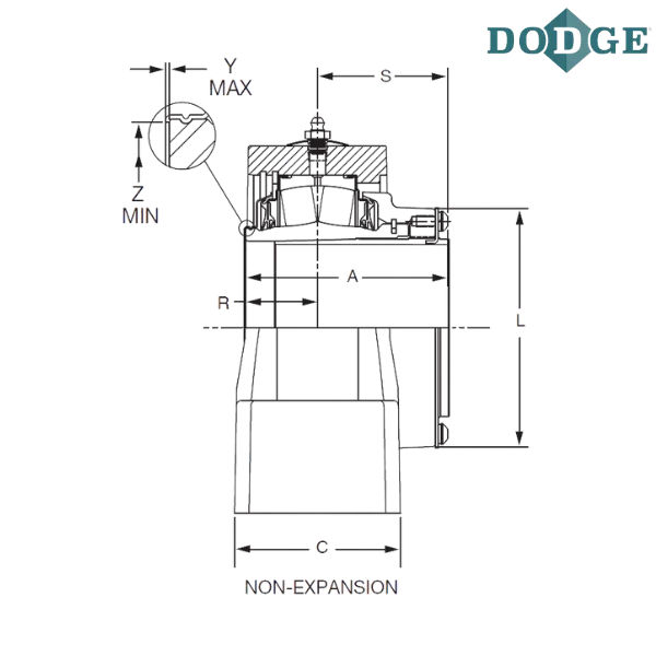 069420 DODGE - P2B-IP-300R