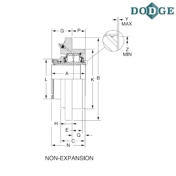 069829 DODGE - FC-IP-308R