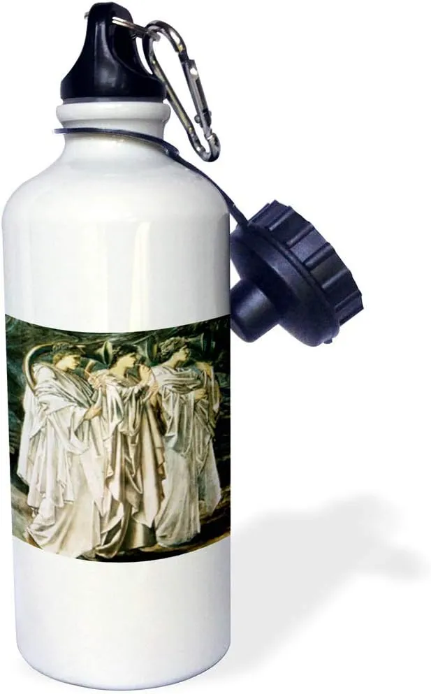 3dRose "The Challenge in the Desert by Edward Burne-Jones" Sports Water Bottle, 21 oz, White