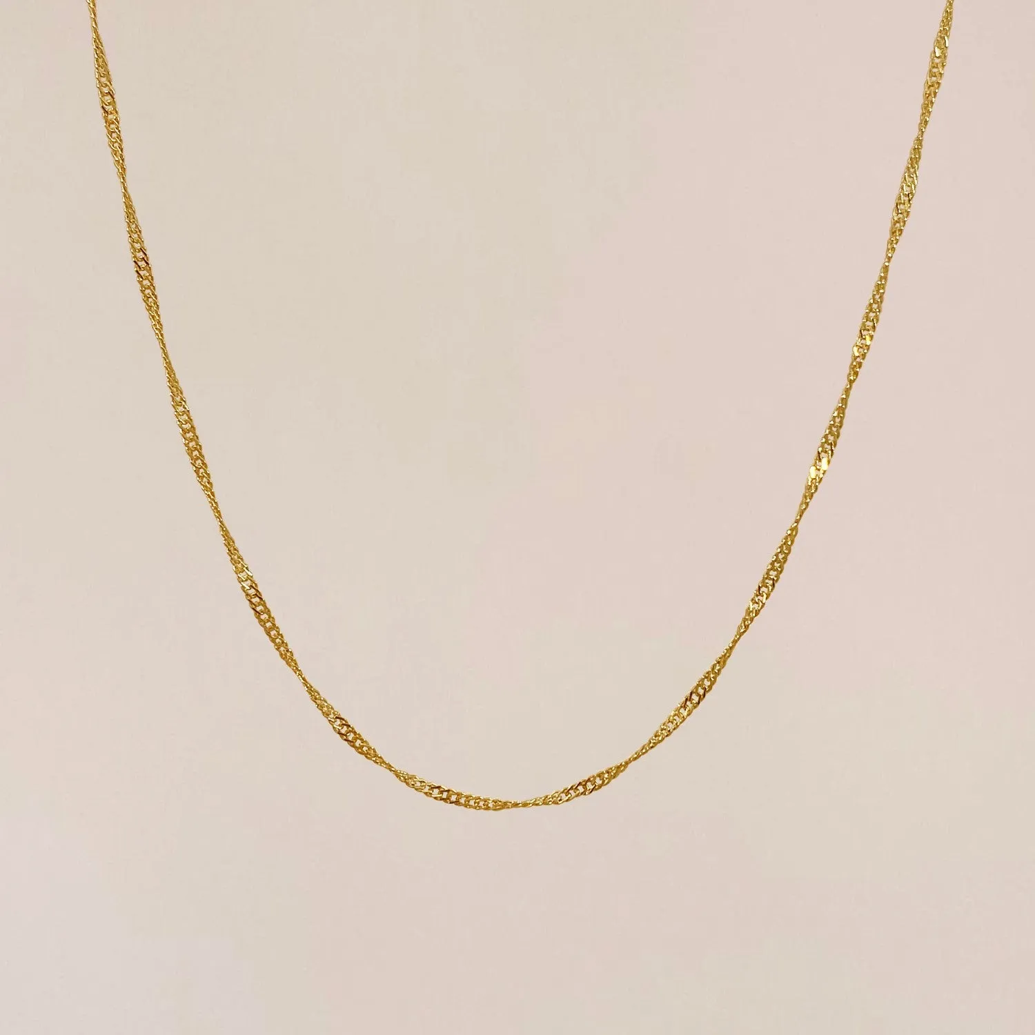 Delicate Twist Necklace
