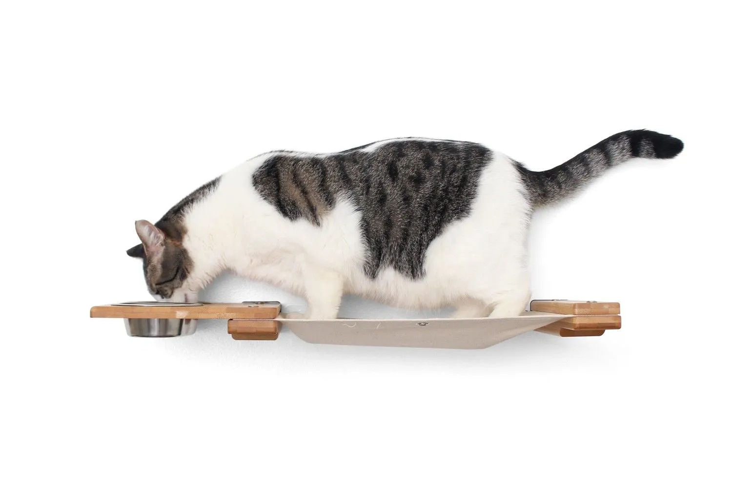 Dog Proof Cat Feeder - Wall-Mounted - Raised
