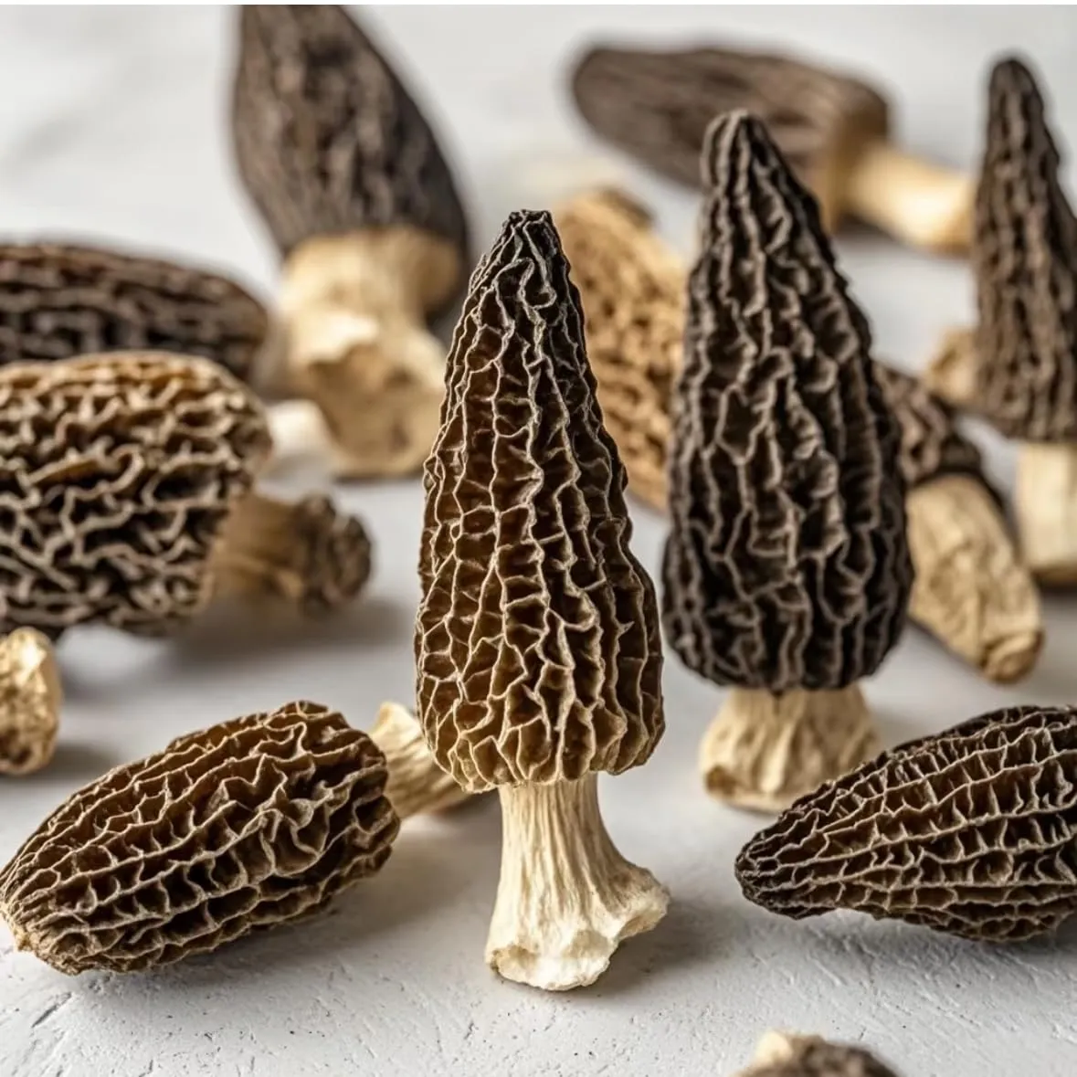 Dried Morel Mushrooms, 4 oz Dried Mushrooms For Cooking Dehydrated Mushrooms, Wild Mushrooms Dried Morel Mushrooms Shipping from California, U.S.