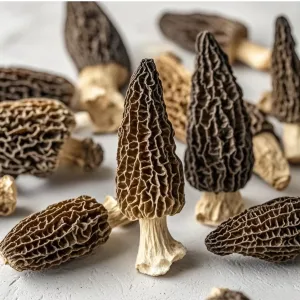 Dried Morel Mushrooms, 4 oz Dried Mushrooms For Cooking Dehydrated Mushrooms, Wild Mushrooms Dried Morel Mushrooms Shipping from California, U.S.