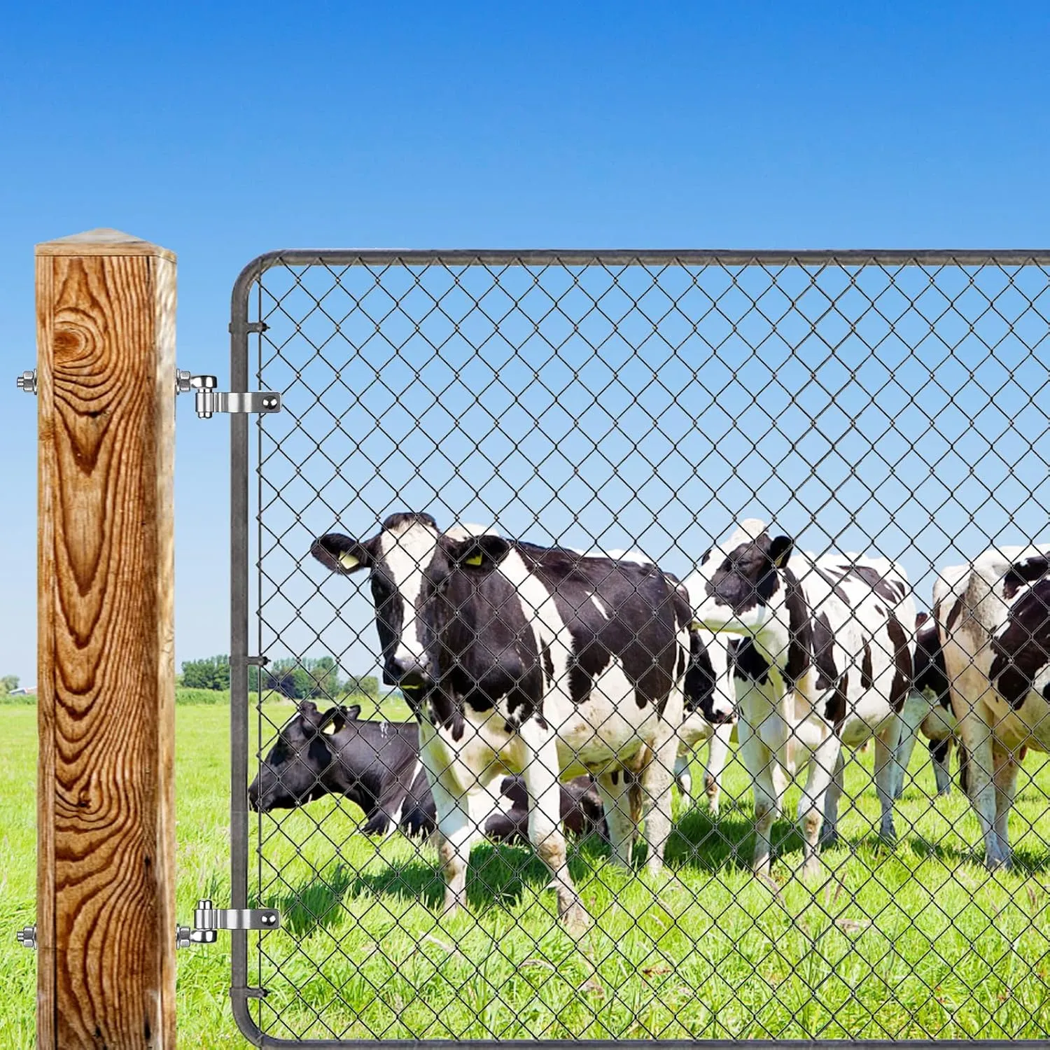 J Bolt Gate Hinge, 304 Stainless Steel Farm Gate Hinges, M12 x 10'' Gate Hinge Bolt 5/8'' for Chain Link Fence/Farm/Wooden Fence/Driveway, Supports up to 500lbs, 4pcs