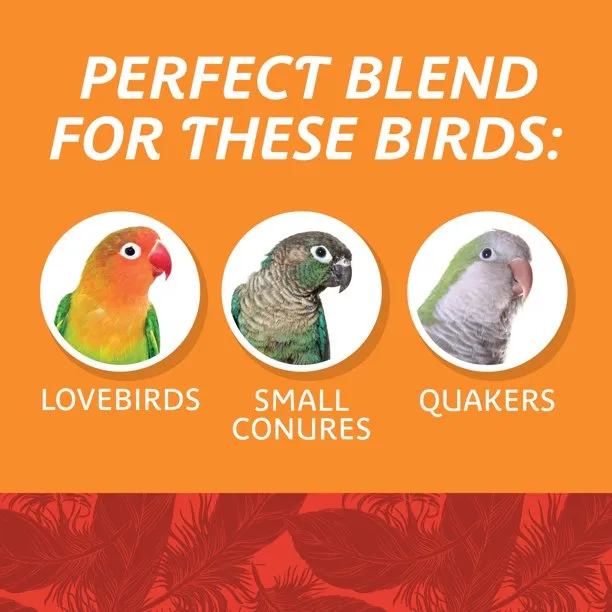 Medium Bird Blend Bird Food for Cockatiels Love Birds 3 lb Bag