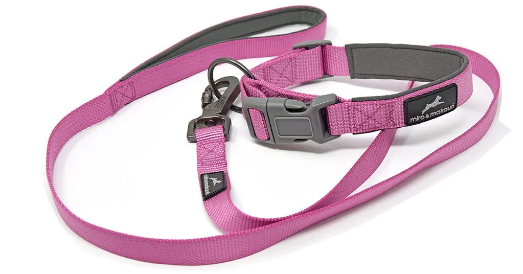 Miro Neoprene Padded Carabina Nylon Clasp Lead