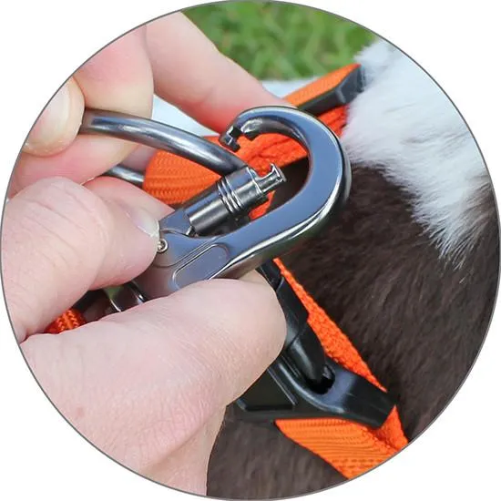 Miro Neoprene Padded Carabina Nylon Clasp Lead