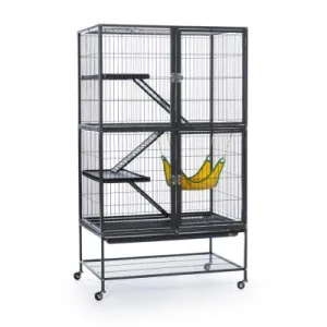 Prevue Feisty Ferret Home Floor Cage 31x20x55"