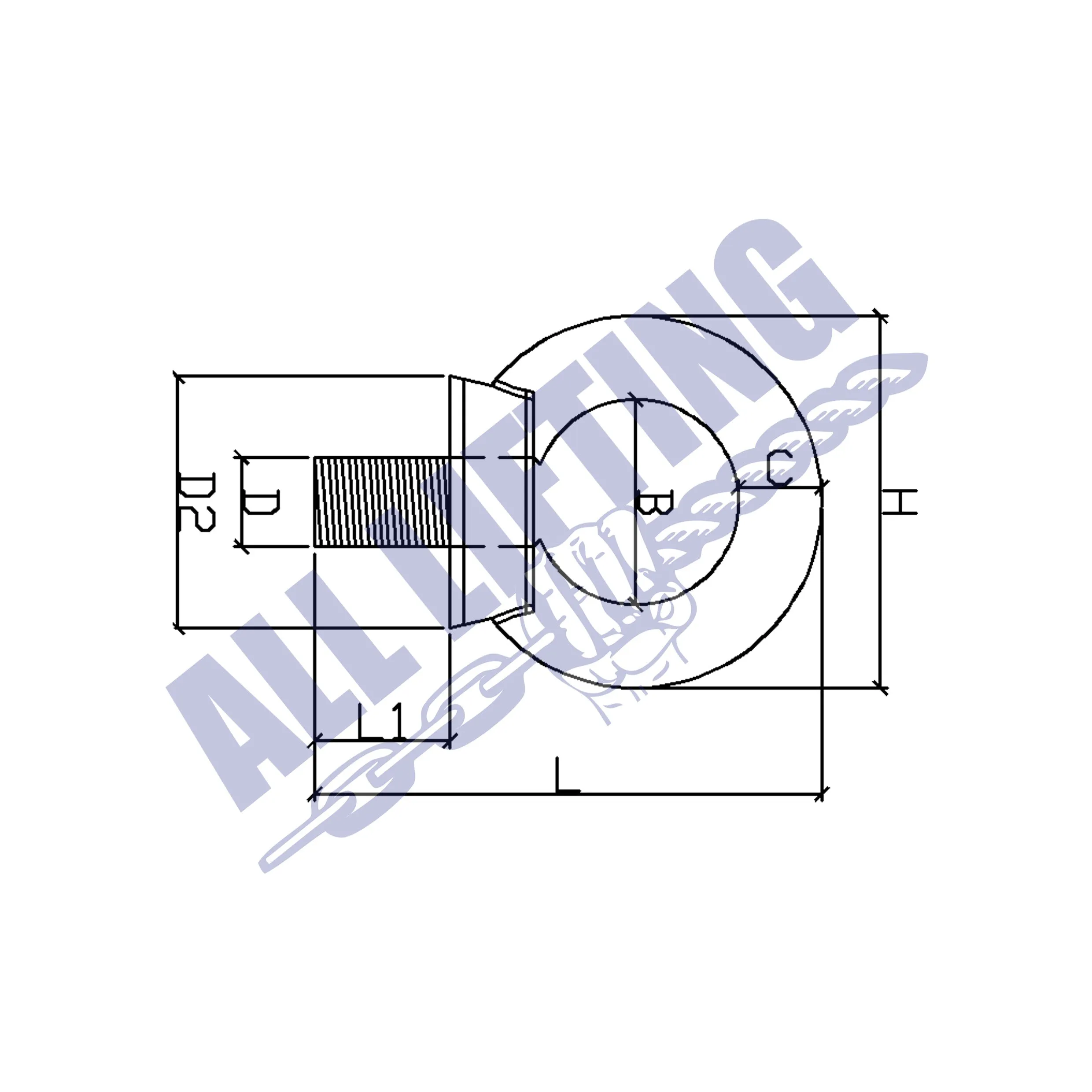 Stainless Steel Collared Eye Bolt