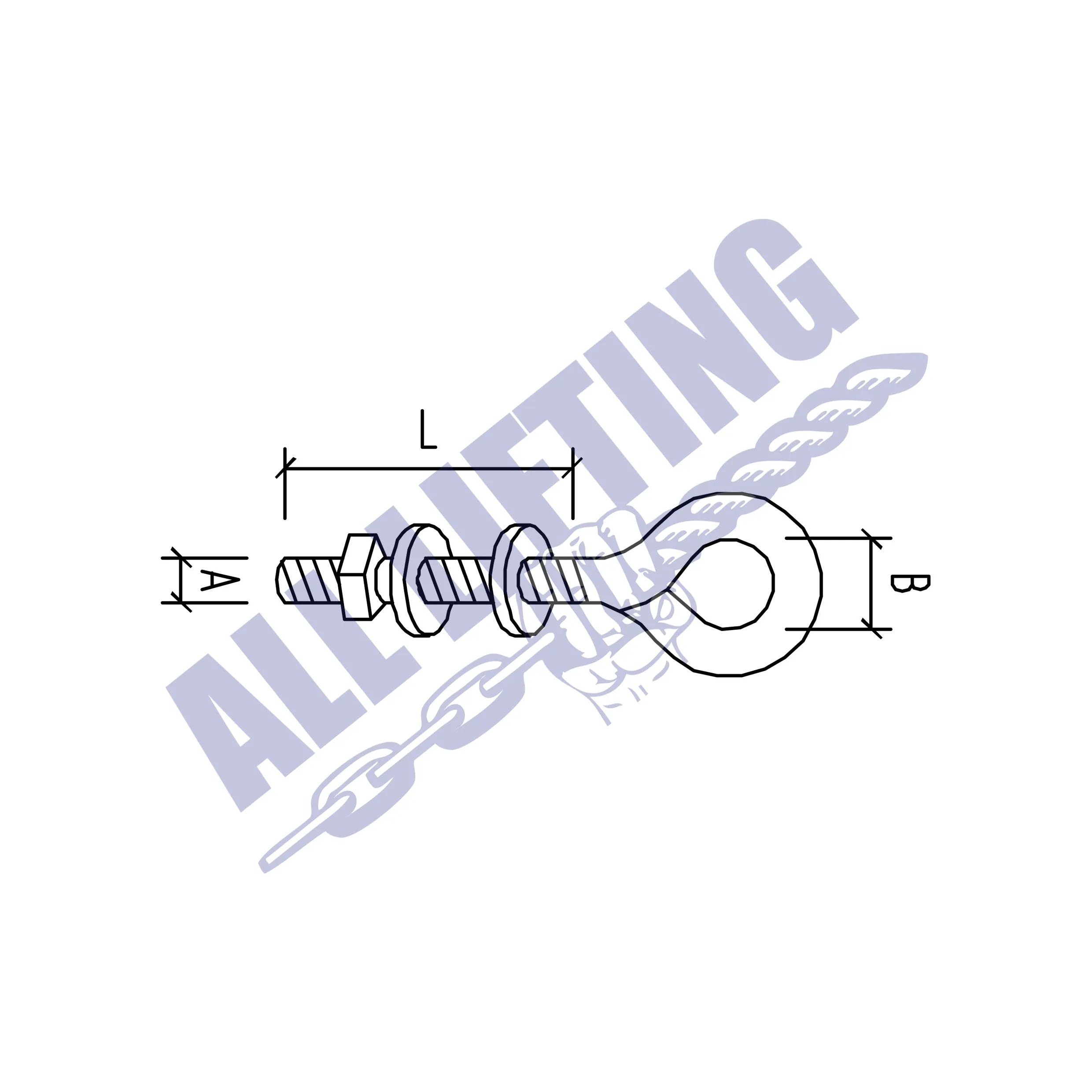 Stainless Steel Eye Bolt Long Thread