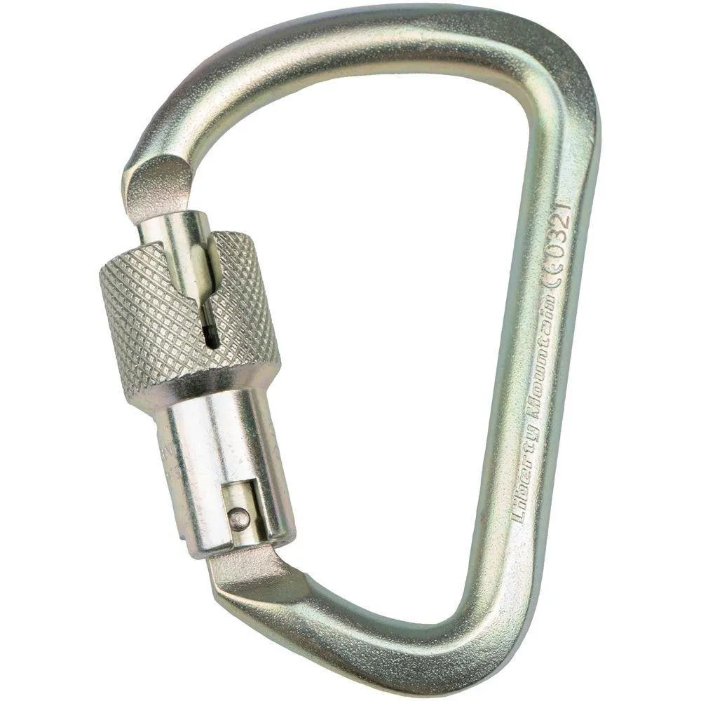 Steel G Series Large D Locking Carabiner - CYPHER