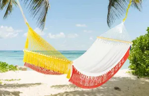 Trump 2024 Hammock